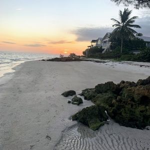 Meet your Posher, Molly